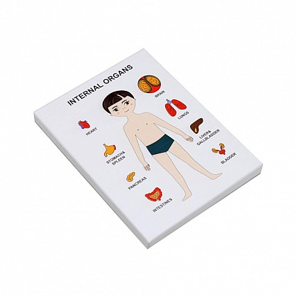 Пазлы обучающие Internal Organs Strateg 30349 органы человека