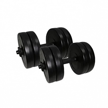 Гантели наборные композитные в пластиковой оболочке 2 шт по 10,5 кг Rock Pro NE-PL-G-010-2