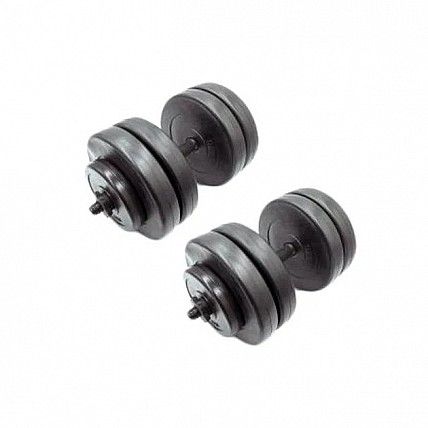 Гантели наборные композитные в пластиковой оболочке 2 шт по 25,5 кг Rock Pro NE-PL-G-025-2