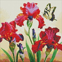 Алмазна мозаїка «Вишукані райдужки» ©аннастешка AMO7650 40x40 см Ідея