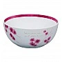Салатник Vista Alegre ARIGATO 3.2л Ø25см 21086858