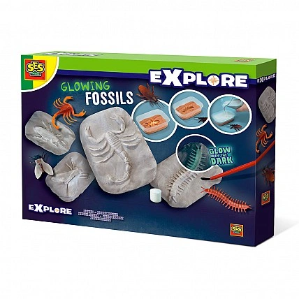 Набір серії Дослідник - Сяючі скам'янілості комах, що світяться