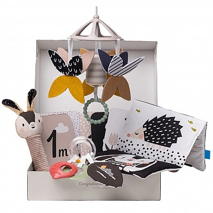 Newborn Toy Gift Set – Black and White Harmony