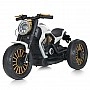 Kids Electric Motorcycle M 5048EL-1, 2mot*25W, 1bat12V9AH, music, light, MP3, USB