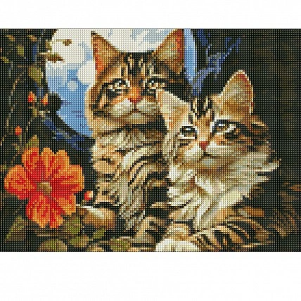 Алмазна мозаика "Чарівні котики" AMO7853 30х40см