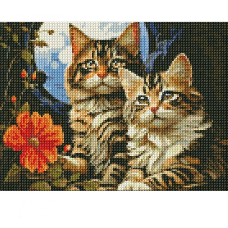 Алмазна мозаика "Чарівні котики" AMO7853 30х40см