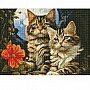 Diamond mosaic "Magic Kittens" AMO7853 30x40cm