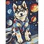 Алмазна мозаїка «Космічний гаскі» AMO8075, 30x40 см