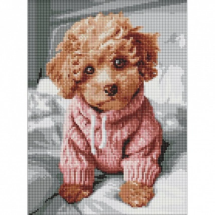 Алмазна мозаїка «Magic Maltipoo» AMO8138, 30x40 см