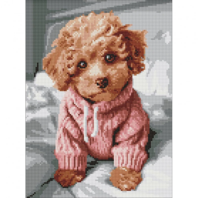 Алмазна мозаїка «Magic Maltipoo» AMO8138, 30x40 см