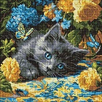 Алмазная мозаика "Котенок голубоглазый" AMO8340, 40х40 см