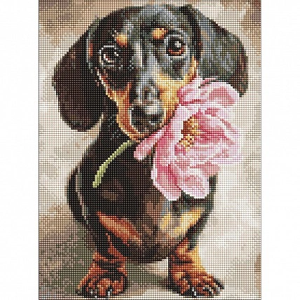 Алмазна мозаїка "Песик і сюрприз" ©art_selena_ua AMO20219, 30х40 см