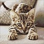 Алмазная мозаика "Игривый котенок" ©art_selena_ua AMO20280, 40х40 см