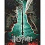 Алмазная мозаика "Гарри Поттер: Гарри и Волдеморт" ©Warner Bros AMO20357, 40×50 см