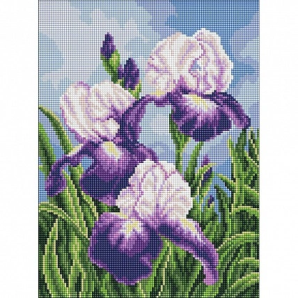 Алмазна мозаика "Іриси під відкритим небом" ©art_selena_ua AMO20470, 30х40 см