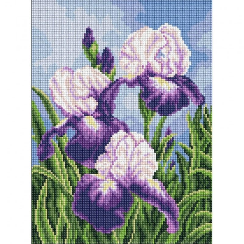 Алмазна мозаика "Іриси під відкритим небом" ©art_selena_ua AMO20470, 30х40 см