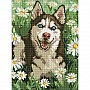 Алмазна мозаїка "Хаскі у квітках" ©art_selena_ua AMO20472, 30х40 см