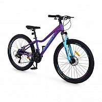 Велосипед дитячий "BALANCE" BL-2607, 26 дюймів, сливовий