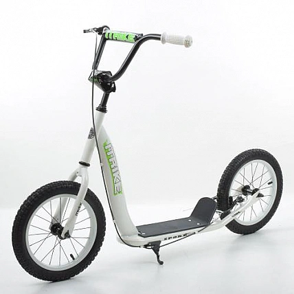 Самокат міський iTrike SR 2-043-2-W