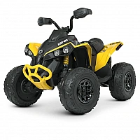 Детский электромобиль Квадроцикл Bambi M 5001EBLR-6