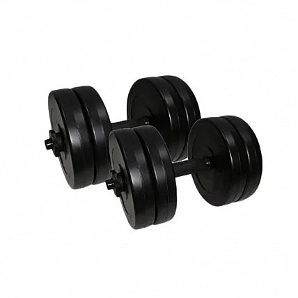 Гантели наборные композитные в пластиковой оболочке 2 шт по 10,5 кг Rock Pro NE-PL-G-010-2