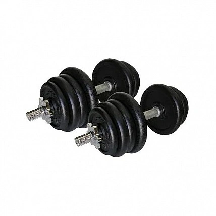 Гантели наборные литые Home 2 шт по 27,5 кг TI-968-745-27-2