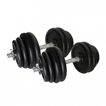 Гантели наборные литые Home 2 шт по 31,5 кг TI-968-745-31-1-2