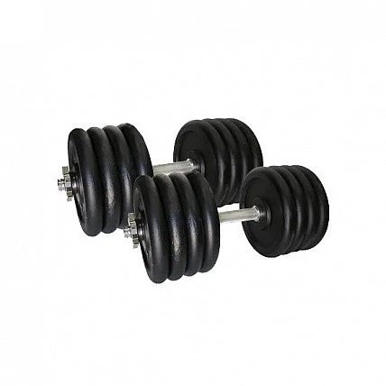 Гантели наборные литые Home 2 шт по 42 кг TI-968-745-42-1-2