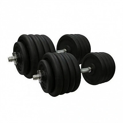 Гантели наборные литые Home 2 шт по 46 кг TI-968-745-46-2