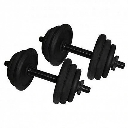 Гантели наборные литые NE-300-GP013-2, 2 шт по 12,5 кг