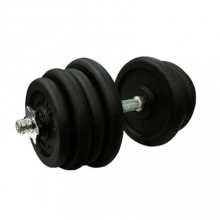 Гантель наборная 27,5 кг Home TI-968-745-27-1