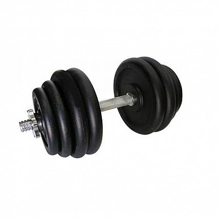 Гантель наборная 31,5 кг TI-968-745-31-1