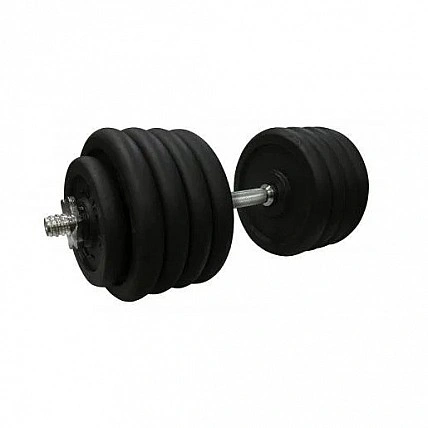 Гантель наборная 46 кг Home TI-968-745-46-1