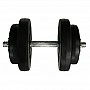 Гантель наборная композитная Rock Pro-R NE-PL-R-009, 9 кг