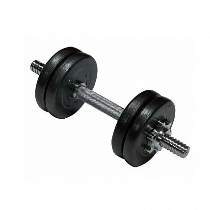 Гантель наборная литая 1шт 10 кг TI-968-747