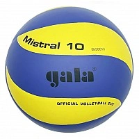 Мяч волейбольный тренировочный Mistral 10 NE-GALA-M10 № 5