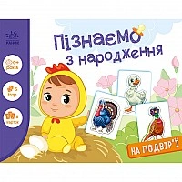 Детская развивающая игра "Изучаем с рождения: Во дворе" 264014, 8 карточек