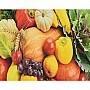 Алмазная мозаика "Мир вкусов" HEG87052, 30х40 см
