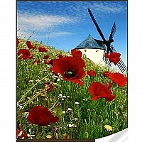 Diamond mosaic "Mill" GM86061 30x40 cm