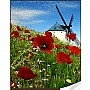 Diamond mosaic "Mill" GM86061 30x40 cm
