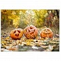 Figured wooden puzzle "Halloween" PZ006-A3C-AC 180-250 pieces, A3 size