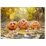 Figured wooden puzzle "Halloween" PZ006-A3C-AC 180-250 pieces, A3 size