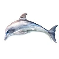 Children's soft toy "Dolphin" DOL, size 80 cm