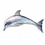 Children's soft toy "Dolphin" DOL, size 80 cm