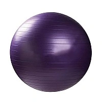 Fitness Ball (Fitball) BT-SFB-0004 (Violet) size 65 cm