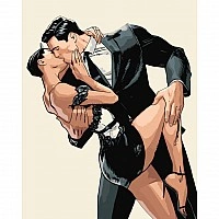 Paint by numbers "Kiss on the other side of the night" ©arttem_illustration 16142-AC 40x50 cm