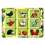Ubumblebees Wooden Puzzle Insert "Whose Pattern Is It?" (PSF052) PSF052 Sorter Stencil