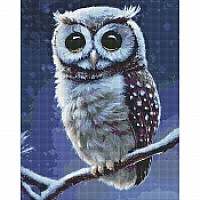 Diamond Mosaic "Forest Owl" ©Neag Mircea Marius Idea AMO7413 40x50 cm