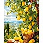 Painting by numbers "Lemon Tree" LW3490, 40x50 cm
