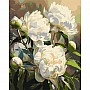 Painting by numbers "Harmony of Peonies" LW3533, 40x50 cm